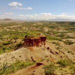 fast rewind verso Manyara