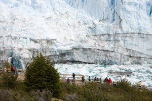 el calafate