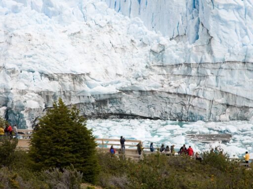 el calafate