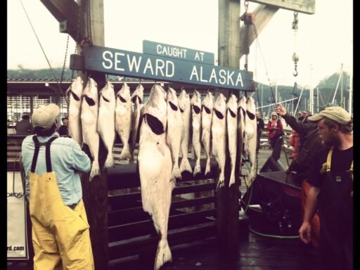 caccia grossa a Seward