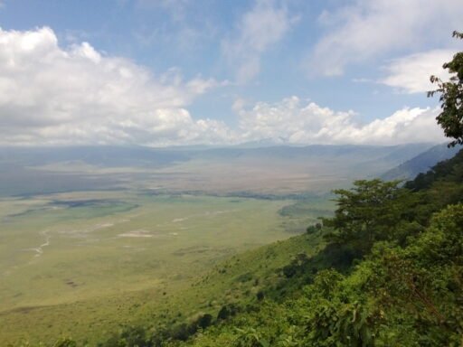 Ngorongoro