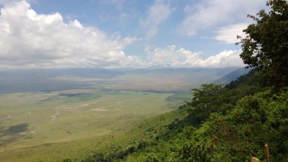 Ngorongoro