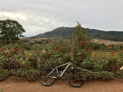 In bici nelle winelands